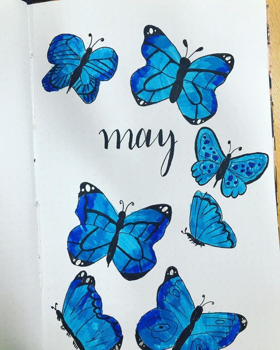 may bullet journal cover butterfly