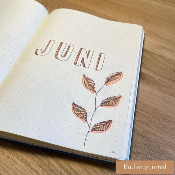 june bullet journal cover minimalist