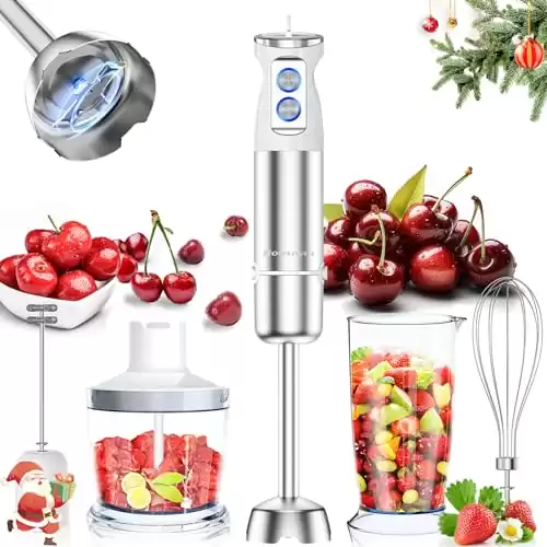 Hand Blender, 5-in-1 Stainless Steel