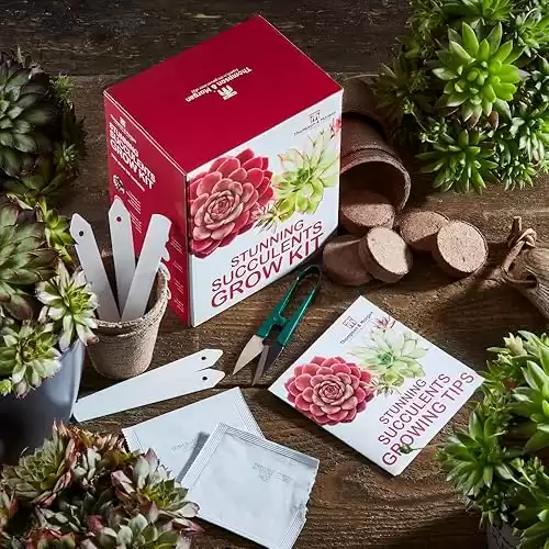 Succulent Seed Grow Kit